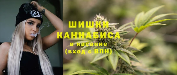 винт Горно-Алтайск