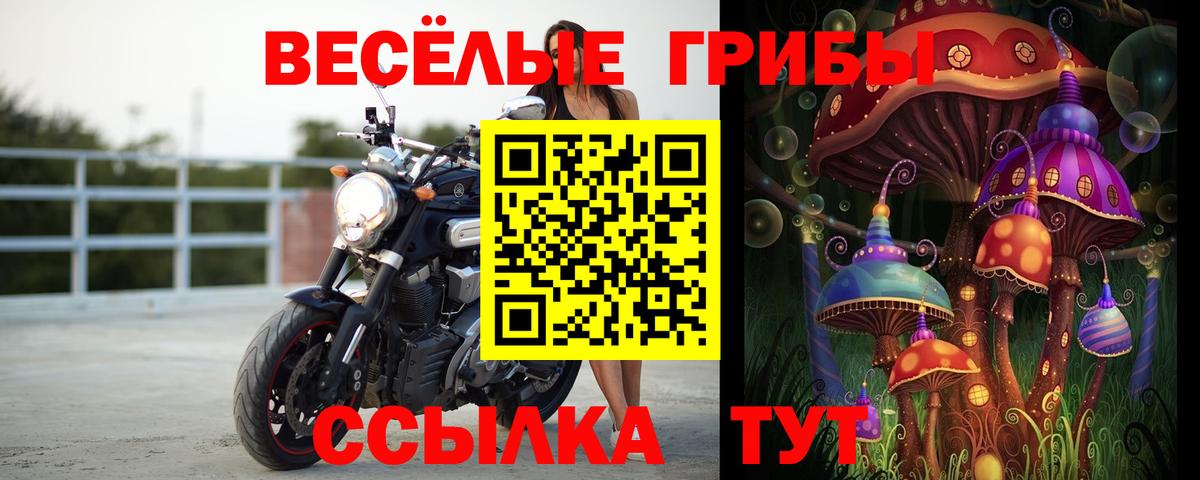 Псилоцибиновые грибы прущие грибы Нефтекамск